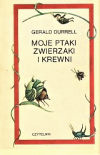 Локальне зображення обкладинки